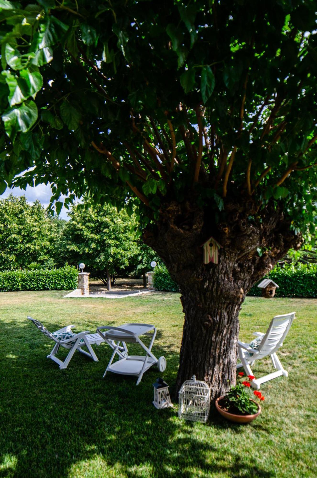 Cascina Il Gelso Bed and Breakfast Mornese Exteriör bild